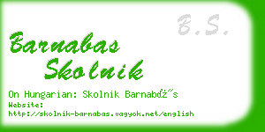 barnabas skolnik business card